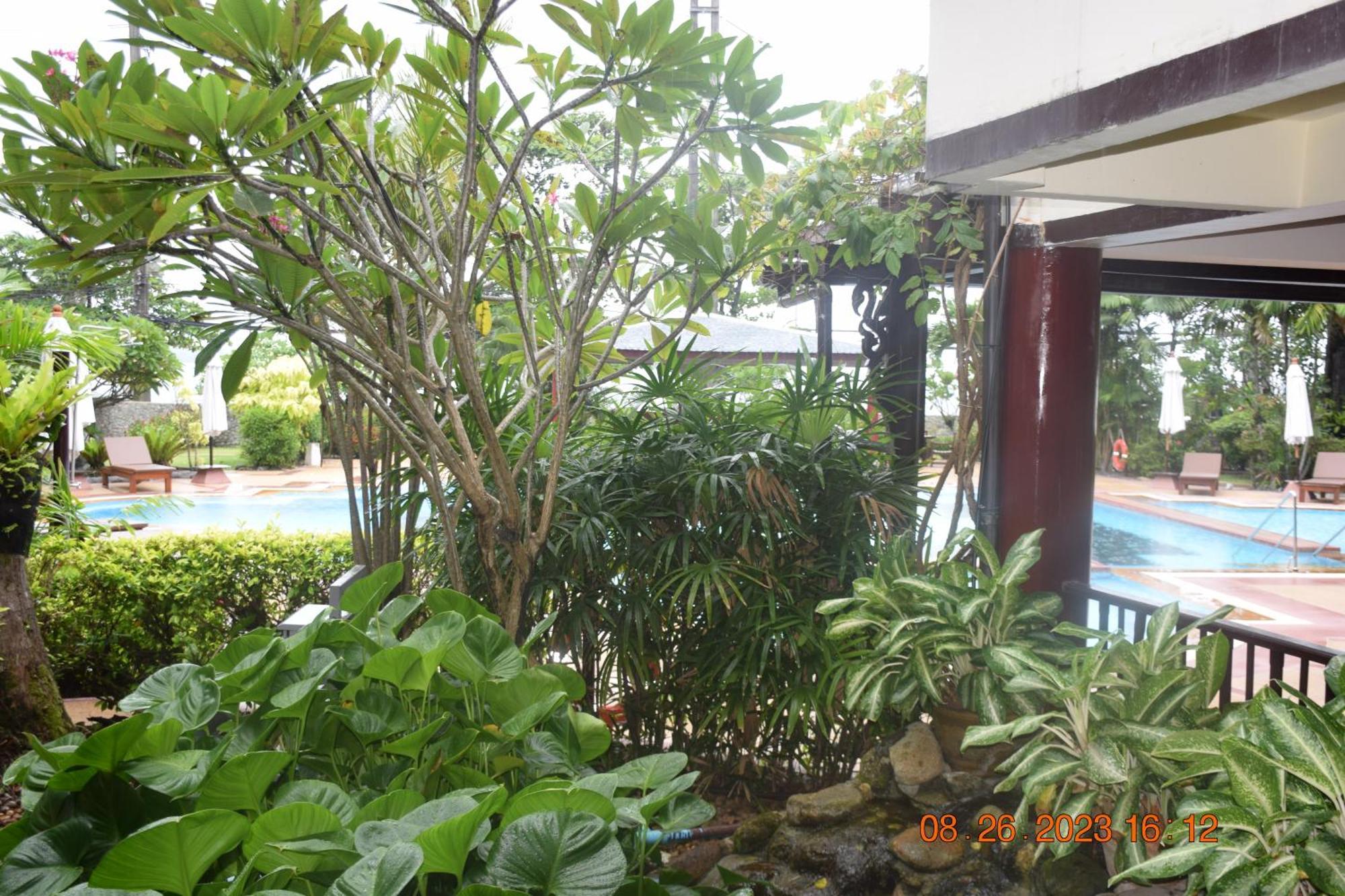 Kalim Residence Patong Εξωτερικό φωτογραφία